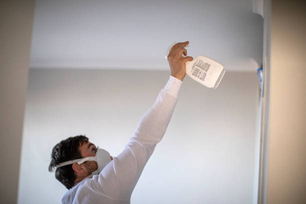 Best Toxic Mold Removal  in Dimmitt, TX