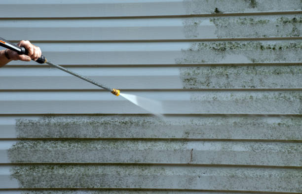 Best Certified Mold Removal  in Dimmitt, TX