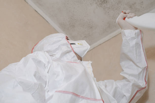 Best Crawl Space Mold Removal  in Dimmitt, TX